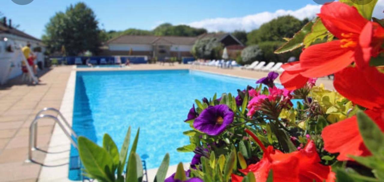 Jungle Lodge Lymington Luaran gambar